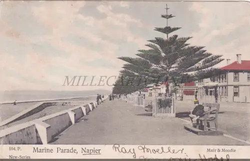NEUSEELAND - Marine Parade, Napier, Postkarte