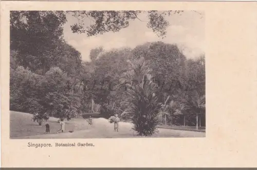 SINGAPUR - Botanischer Garten, Postkarte 1900