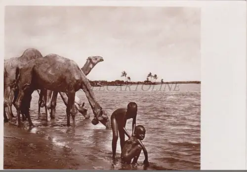 SOMALIA - Erste Waschungen, Parodi Mogadischu Photo Postcard
