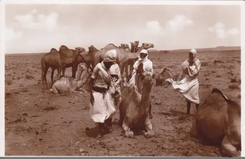 SOMALIA - Dubat (Grenzwache), Parodi Mogadischu Foto Postkarte