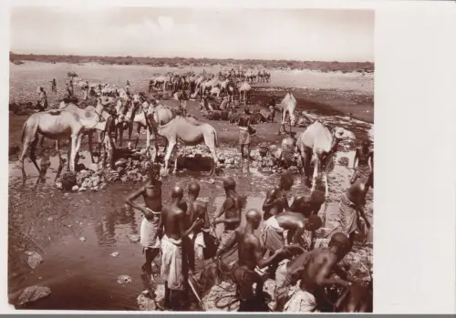 SOMALIA - Brunnen zur äthiopischen Grenze, Parodi Mogadischu Foto Postkarte