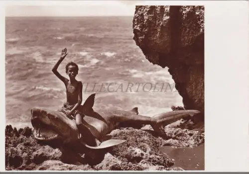 SOMALIA - Pescecane, Parodi Mogadischu Foto Postkarte
