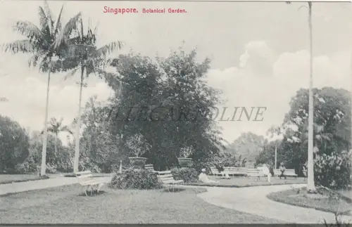 SINGAPUR - Botanischer Garten, Postkarte 2