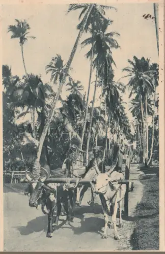 SINGAPUR - Istituto Missioni Estere, Postkarte 1941