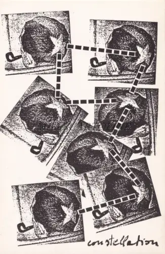 MADE IN ITALY POSTCARD - Serse Luigetti, Constellation, Sestili Ed.