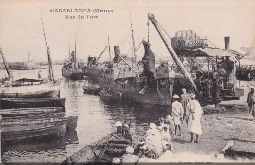 MAROKKO - Casablanca, Vue du Port, Kuh, Postkarte