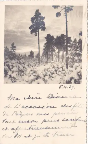 ESTLAND - Von Tallinn nach Venedig, Foto Postkarte 1939 Eesti Post 1+2+5+10