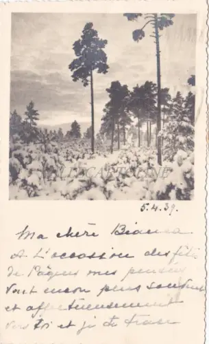ESTLAND - Von Tallinn nach Venedig, Foto Postkarte 1939 Eesti Post 1+2+5+10
