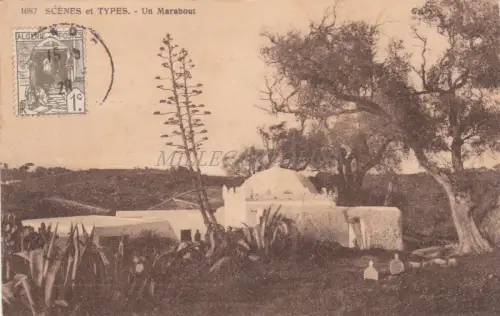 ALGERIEN - Un Marabout