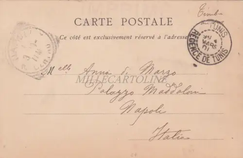 TUNESIEN - Tunesische Ritter 1901