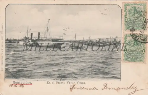 URUGUAY - Montevideo, Im Dampfhafen Venus 1904