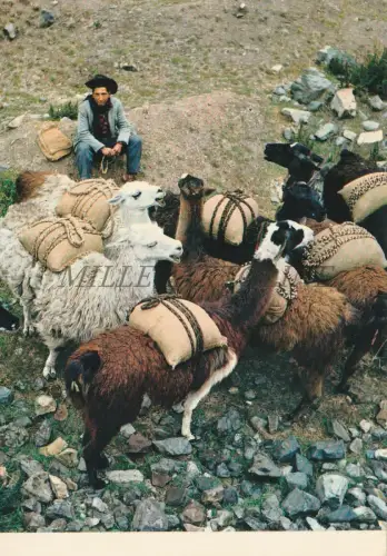 PERU' - Cuzco, Flammen