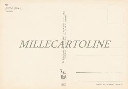 PERU' - Cuzco, Flammen