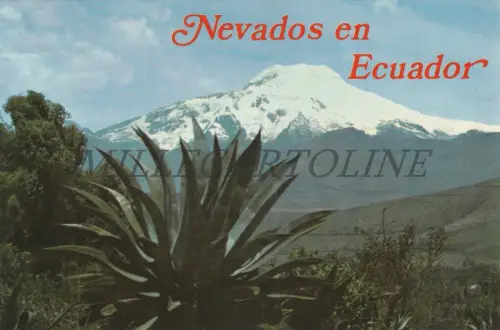 ECUADOR - El Cayambe, Schneefall von seltener Schönheit auf 19.160 Fuß