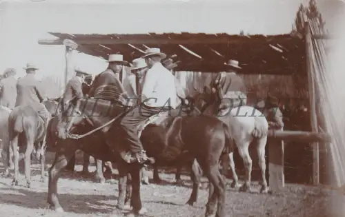CHILE - Huasos, Pferde, Fotopostkarte