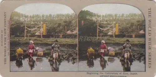 STEREOVIEW - Japan, Beginn des Reisanbaus