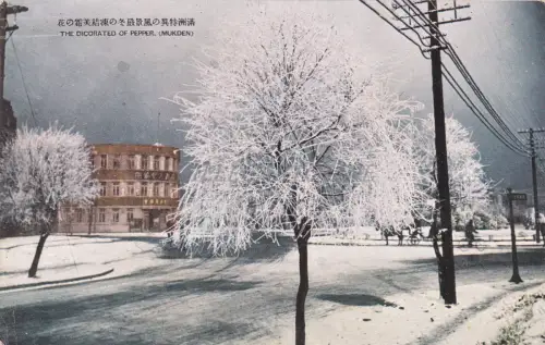 CHINA - Shenyang, verzierter Pfeffer, Postkarte