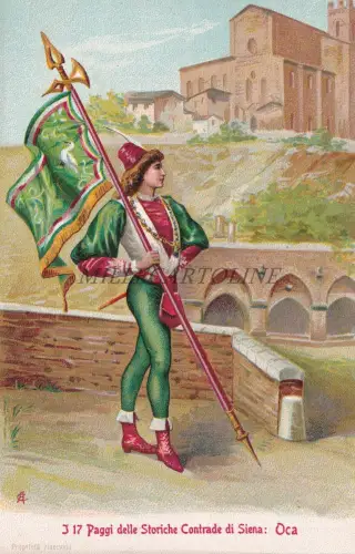 SIENA - DIE 17 Seiten der historischen Bezirke: Gans, Postkarte