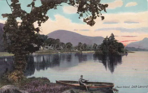 SCHOTTLAND - Loch Lomond, Schwaneninsel, Postkarte