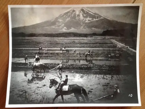 § FOTOGRAFIE - JAPAN, REIS UND HOLZ IM LAND MIKADO