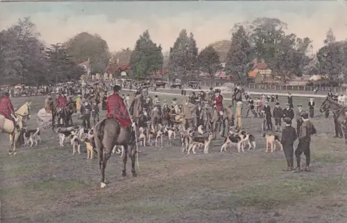ENGLAND - Lyndhurst, Meet of the new Foxhounds at Bolton's Bench, Postkarte 1920