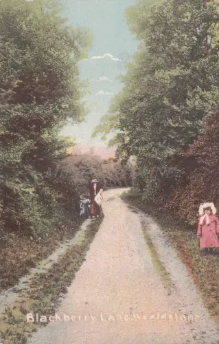 ENGLAND - Wealdstone, Blackberry Lane, Postkarte 1905