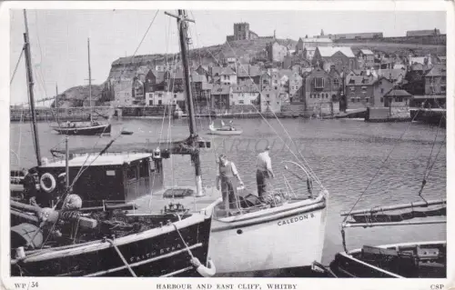 ENGLAND - Whitby, Harbour and East Cliff, Postkarte