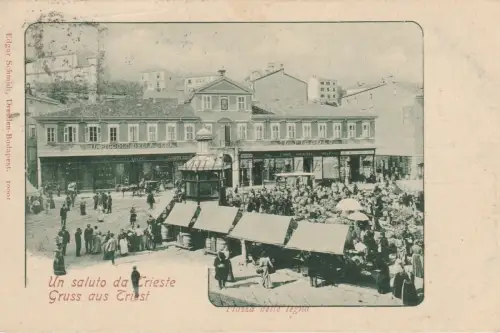 TRIEST - Gruss aus Ein Gruß vom Holzplatz 1899 Ed.Edgar Schmidt