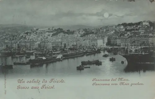 TRIEST - Gruss aus Un Saluto - Panorama dal mare 1898 Ed.Edgar Schmidt