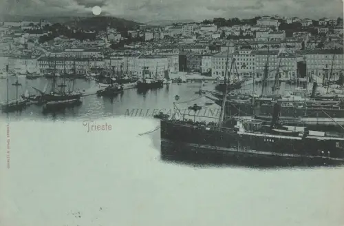TRIEST - Panorama 1897 Ed.Rommler&Jonas