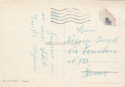 VENATURA - Panorama Case Rosse