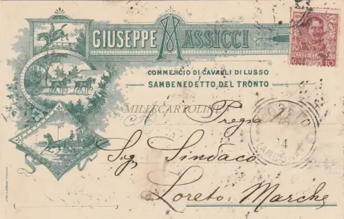 SAN BENEDETTO DEL TRONTO - Commercio di Cavalli di Lusso Giuseppe Massicci 1904