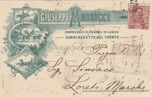 SAN BENEDETTO DEL TRONTO - Handel mit Luxuspferden Giuseppe Massicci 1904