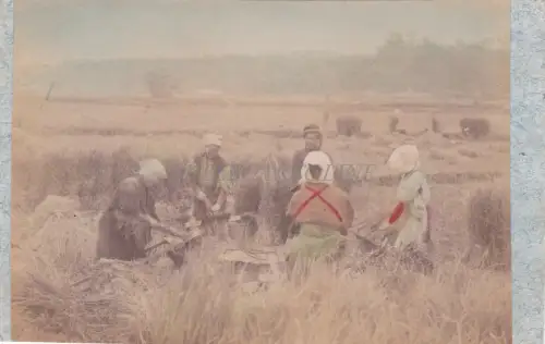 JAPAN - Arbeiten im Feld - Fotoalbumine auf Karton