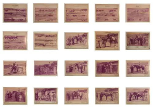 PFERDERENNEN - La Rinconada Hippodrome, Caracas Venezuela, 34 Fotos, 196x