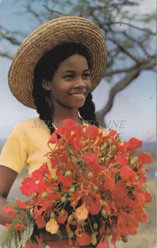 MARTINIQUE - Kind mit flammenden Baumblüten 1966