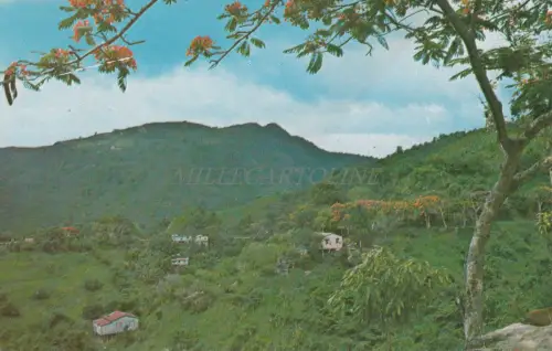 PUERTO RICO - Ländliches Wohnen in der Nähe des Regenwaldes El Yunque