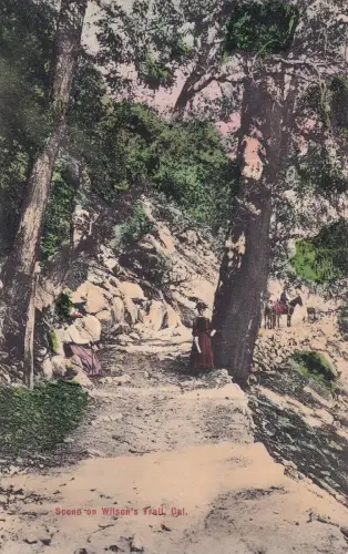 CALIFORNIA - Szene auf Wilsons Trail - Postkarte M.Rieder