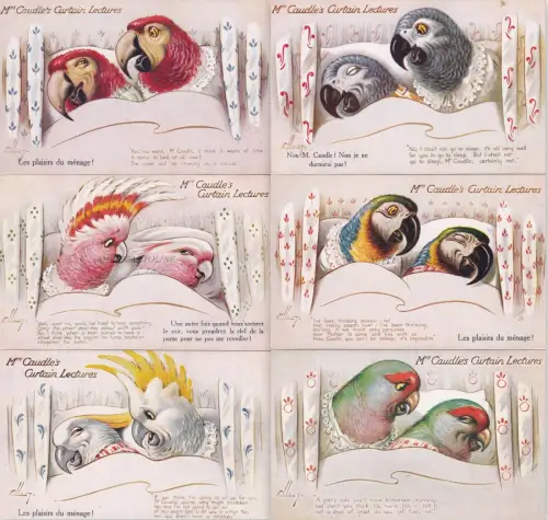 TUCK'S OILETTE SERIE MIT 6 POSTKARTEN - Mrs.Caudle's Curtain Lectures Sittiche