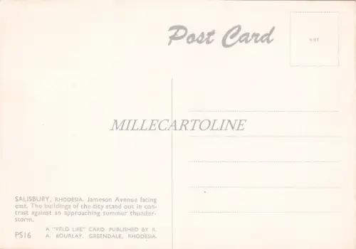 SÜDAFRIKA - Rhodesien, 3 Postkarten A.Bourlay