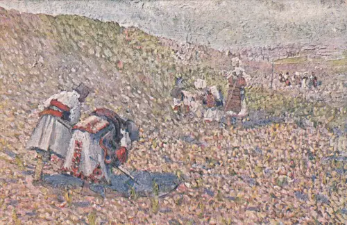 NORDMAZEDONIEN - Alfonso Corradi, Mazedonien, Postkarte