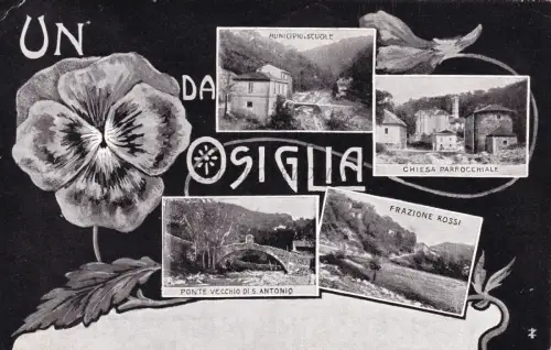 OSIGLIA - Eine Blume und Ansichten 1906 Postkarte