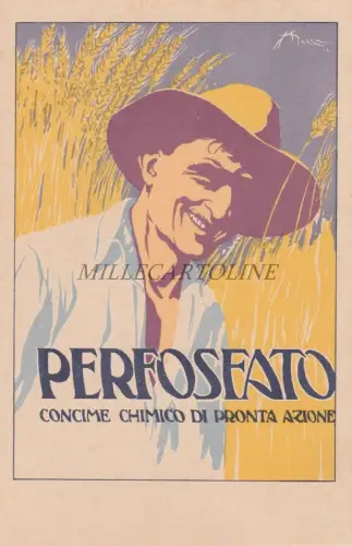 WERBUNG Perphosphat Chemischer Dünger Società Super Milano - Postkarte Mazza