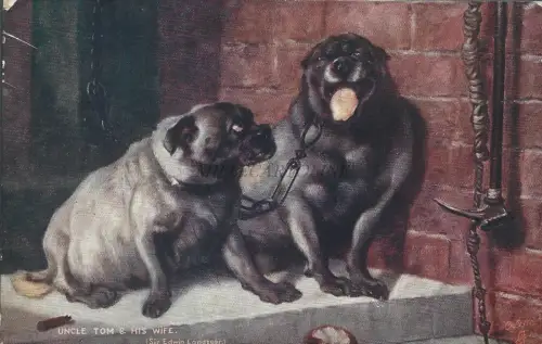 TUCK'S POSTCARD - Oilette Landseer's Pictues Onkel Tom & seine Frau - Hunde