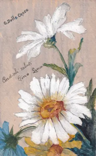 BLUMEN - Gänseblümchen - Handgezeichnete und kolorierte Postkarte 1903 Vom Kreuz