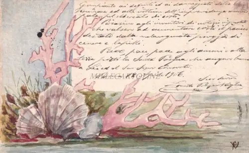 ERDBEBEN KALABRIEN 1905 - Handgezeichnete Postkarte und interessanter Text RL