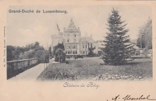 LUXEMBURG - Chateau de Berg 1901