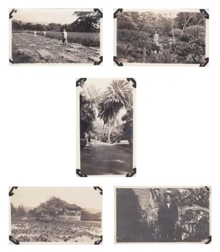 HAWAII - Honolulu, Moana Lua Gardens - 5 Fotos