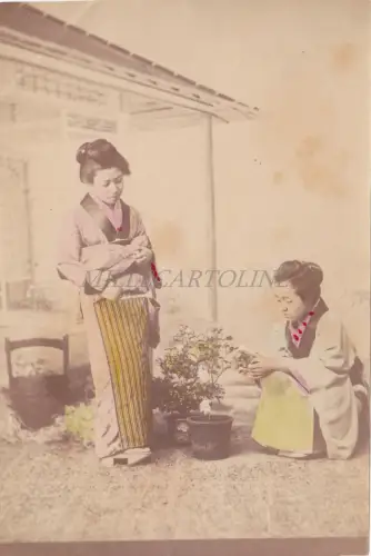 JAPAN - Fotoalbum Print - Giardinaggio