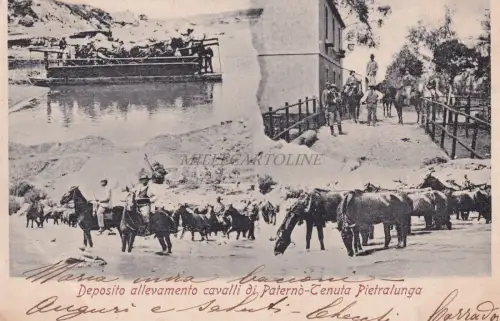PATERNÒ - Pferdezuchtdepot - Tenuta Pietralunga 1906 Postkarte